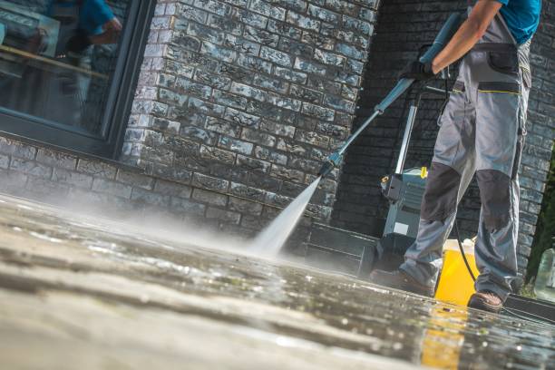 Best Animal Enclosure Cleaning  in Choccolocco, AL